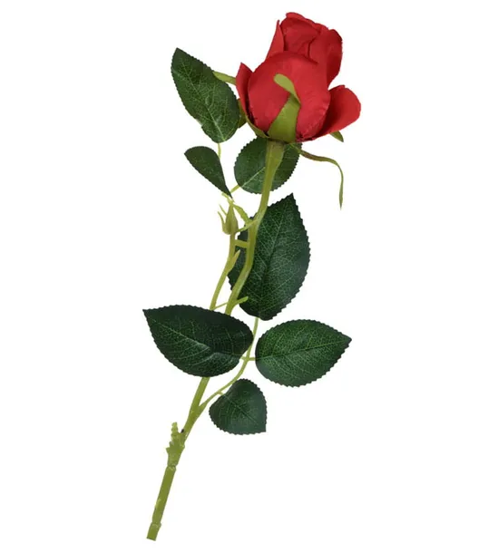 roza-galazka-czerwona-65cm
