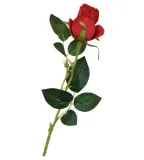 roza-galazka-czerwona-65cm