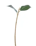 lodyga-do-hortensji-36cm