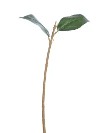 lodyga-do-hortensji-36cm