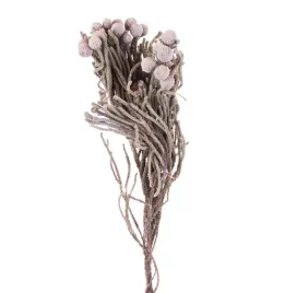 brunia-silver