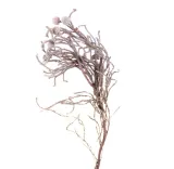 brunia-silver