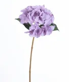 lodyga-do-hortensji-36cm