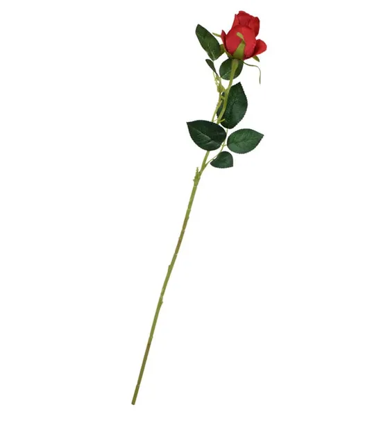 roza-galazka-czerwona-65cm