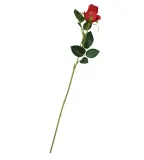 roza-galazka-czerwona-65cm