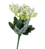 kalanchoe-biale-bukiet