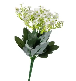 kalanchoe-biale-bukiet