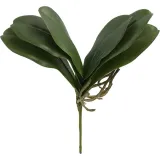 liscie-do-storczyka-30cm