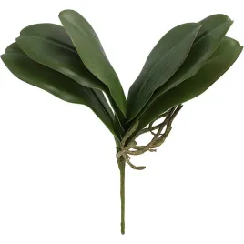 liscie-do-storczyka-30cm