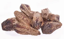 mehogani
