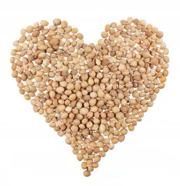 pestki-pestka-wisni-1kg-ekologiczny-naturalny-termofor-wklad-do-termoforow