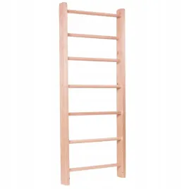 drabinka-gimnastyczna-insportline-steadyline-220x65-cm