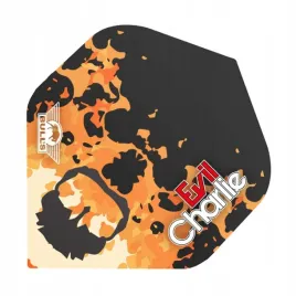 piorka-do-lotek-bull-s-player-100-karel-sedlacek