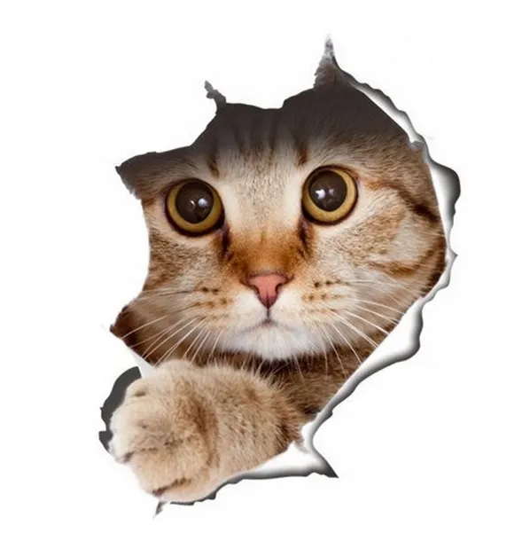 naklejka-kot-3d-pomieszczenie-biuro-kuchnia-pokoj-dzieciecy-salon-sypialnia