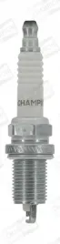 champion-cch318