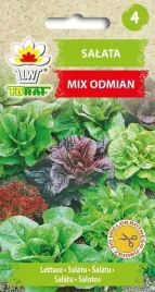 salata-mieszanka-mix-odmian-nasiona-salaty-1g-toraf