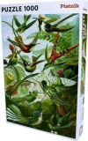 puzzle-1000-haeckel-kolibry-marka-piatnik