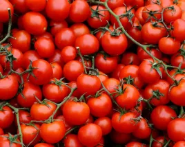 pomidor-koktajlowy-czerwony-cherry-gartenperle-slodki-nasiona-warzyw