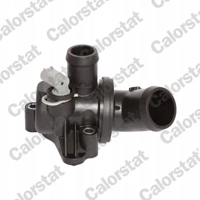 termostat-db-80c