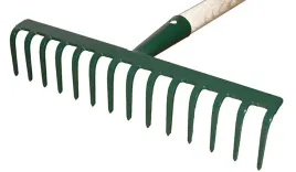 grabie-12-zebne-kard