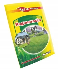 trawnik-renowacja-100g