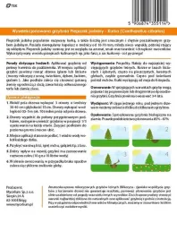 grzybnia-kurka-pieprznik-jadalny-10-g