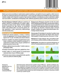 grzybnia-kozlarz-pomaranczowy-10-g