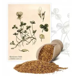 koniczyna-biala-apolo-05-kg