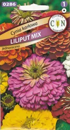 cynia-karlowa-liliput-mix-pieknych-kolorow-rabaty-obwodki-kwiat-nasiona