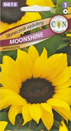 slonecznik-ozdobny-moonshine-ok-150cm-kwiat-ciety-rabaty-ladny-mocny-3g