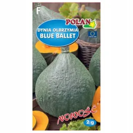 dynia-olbrzymia-blue-ballet-nasiona-2g-polan