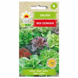 salata-mix-odmian-kolorow-nasiona-krucha-lodowa-maslowa-1g