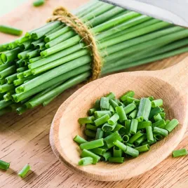 cebula-siedmiolatka-marjolina-nasiona-1g-swieze-nasiona-plantico