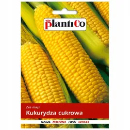 kukurydza-cukrowa-duze-kolby-nasiona-10g-plantico