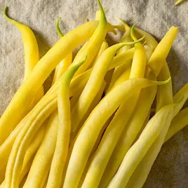 fasola-zlota-saxa-500g-nasiona-duza-paczka-plantico