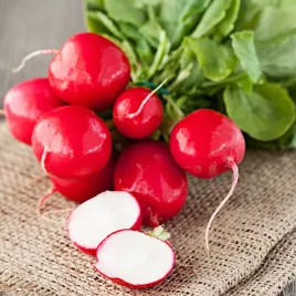 rzodkiewka-carmen-nasiona-50g-duza-paczka-nasion-torseed