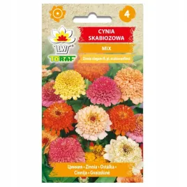 cynia-skabiozowa-new-piekne-kwiaty-mix-mieszanka-kolorow-nasiona-toraf