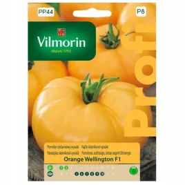 pomidor-orange-wellington-szklarniowy-wysoki-f1-nasiona-vilmorin
