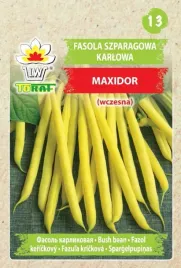 fasola-szparagowa-maxidor-bezwloknista-nasiona