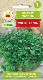 rukiew-wodna-wieloletnia-nasiona