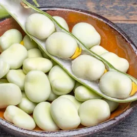 bob-bachus-1-kg-nasiona-wysoka-jakosc-plonow-1000g-plantico