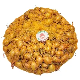 cebula-dymka-sturon-500g-zolta-wczesna-plenna-wiosenna