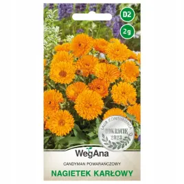 nagietek-karlowy-candyman-pomaranczowy-nasiona-2g-wegana