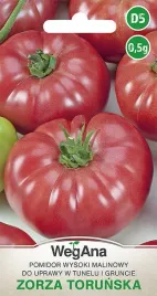 pomidor-zorza-torunska-wysoki-malinowy-nasiona-wegana
