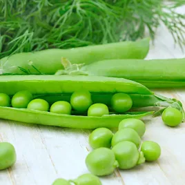 groch-siewny-luskowy-cud-kelvedonu-nasiona-40g-wegana