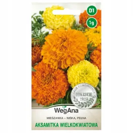 aksamitka-niska-wielkokwiatowa-mieszanka-kolorow-nasiona-kwiatow-1g-wegana