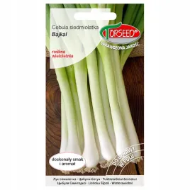 cebula-siedmiolatka-bajkal-szczypiorkowa-nasiona-torseed