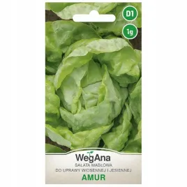 salata-maslowa-amur-tworzy-duze-glowy-nasiona-wegana