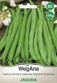 fasola-zielona-bezwloknista-zwykla-karlowa-jagusia-40g-wegana