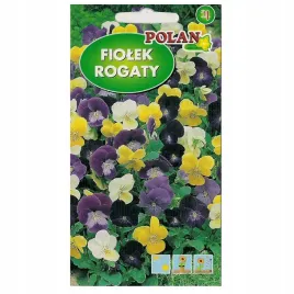 fiolek-rogaty-bambini-wieloletni-kwitnaca-od-maja-do-wrzesnia-nasiona-polan